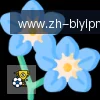 B体育 logo